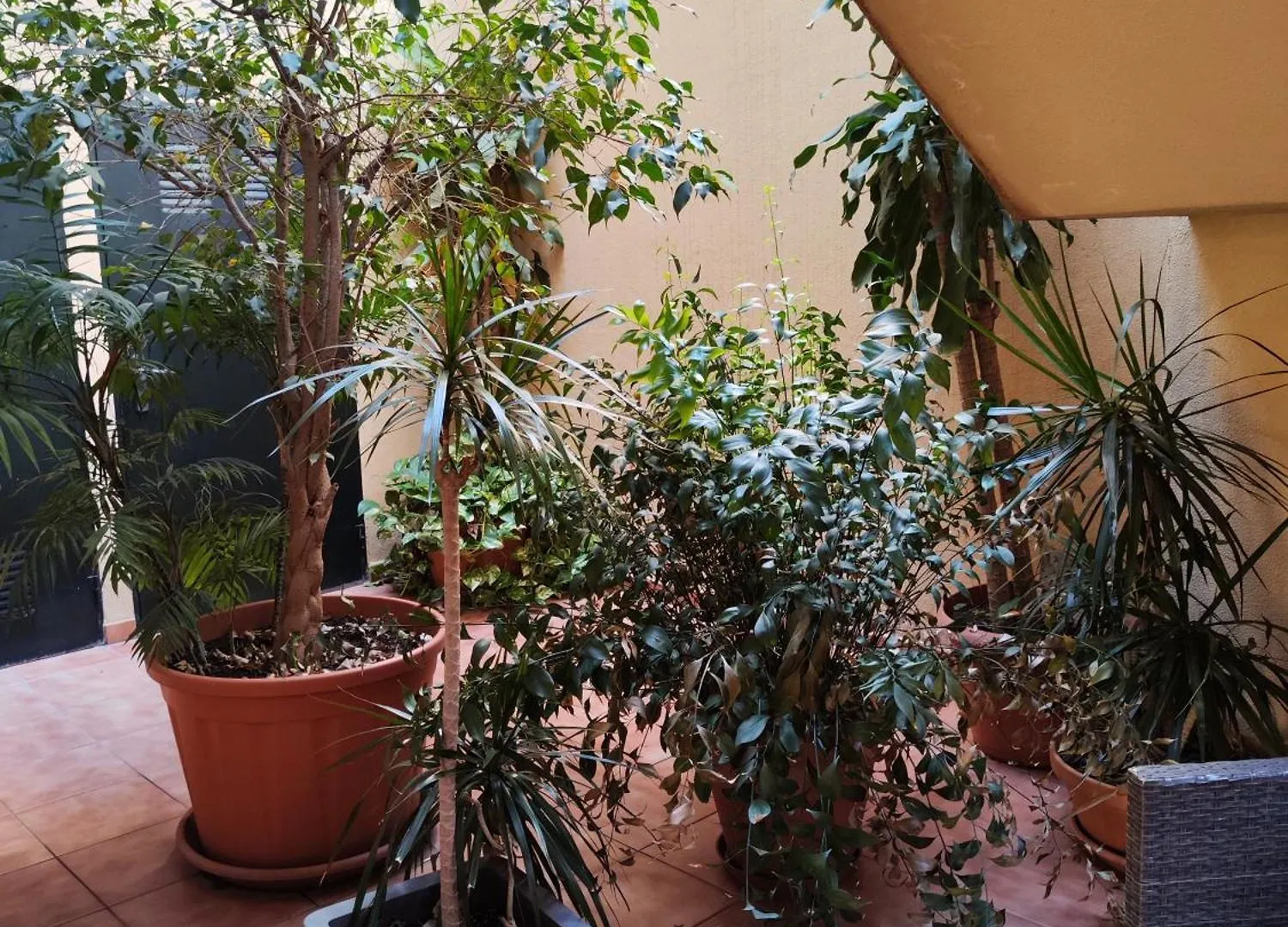 Apartamento Malaga Experience